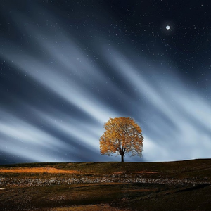 最近中文字幕高清字幕mv久久
